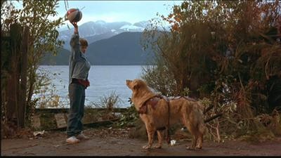 Buddy/Air-Bud
