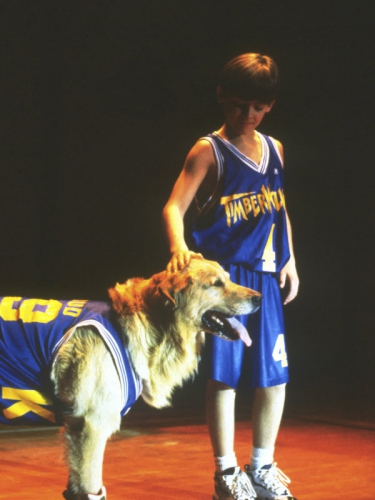 Buddy/Air-Bud