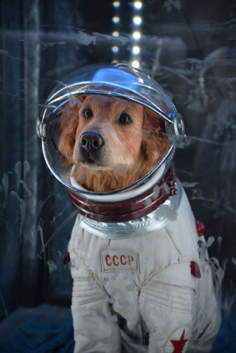 Космо