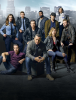 Полиция Чикаго (сериал)