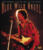 Jimi Hendrix at the Isle of Wight
