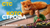 Котострофа (сериал)