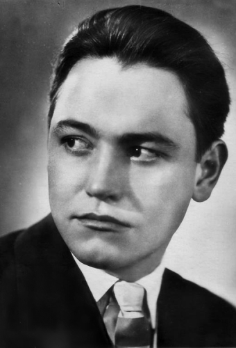 Владимир Земляникин
