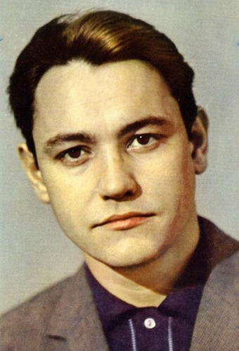 Владимир Земляникин