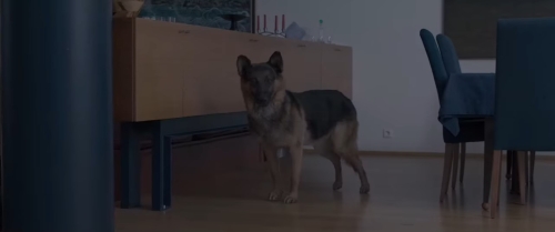 картинка DoZzZa