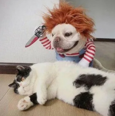 картинка Mulily