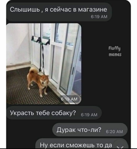 картинка Mulily