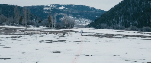 картинка tarkus1981